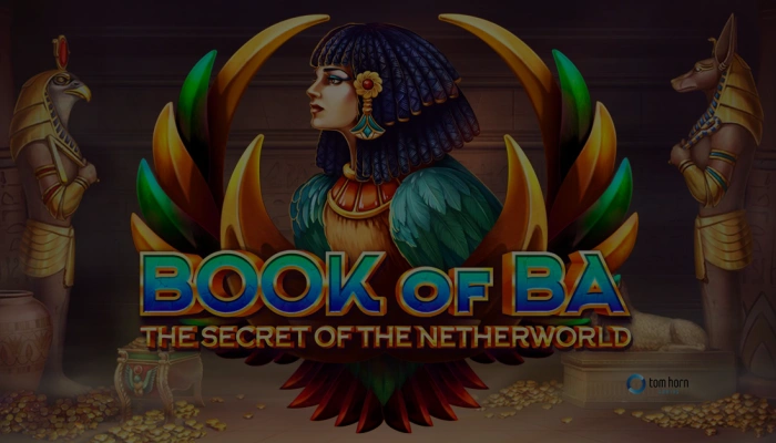 The Secret of Ba Bez Maksas