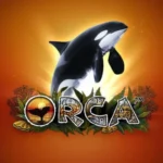 Orca