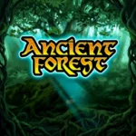 Ancient Forest