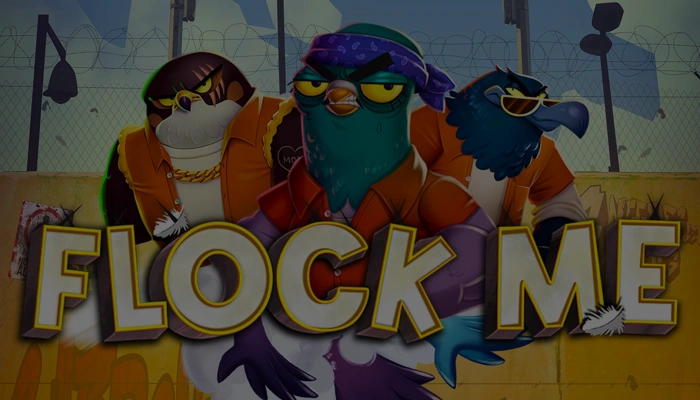 Flock Me Bez Maksas